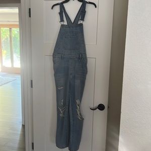 Wild Fable distressed overalls
